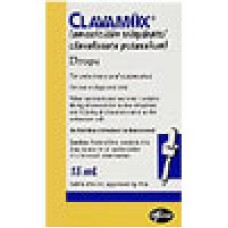 Clavamox® Drops (The Original), 15mL